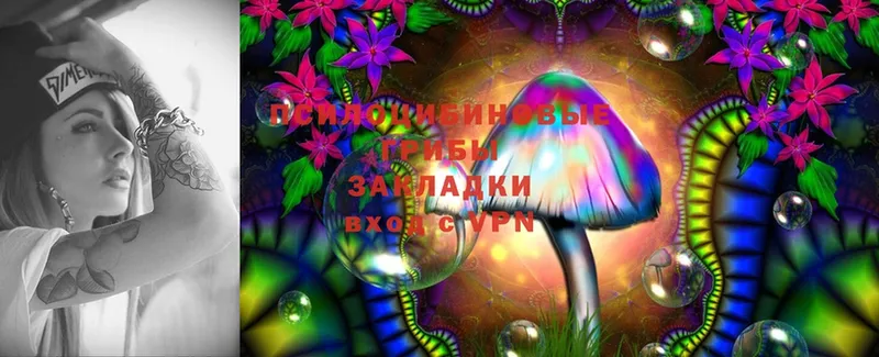 blacksprut вход  Ноябрьск  Галлюциногенные грибы Psilocybine cubensis  где найти  